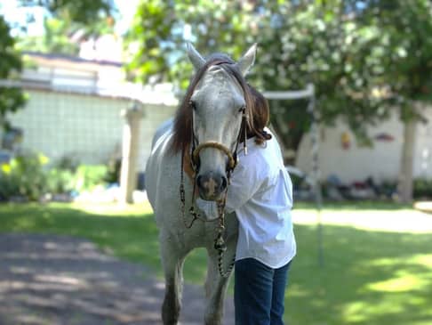Slider image (5) Hacienda del Lago - Clínica de Tratamiento para Alcoholismo y Adicciones
